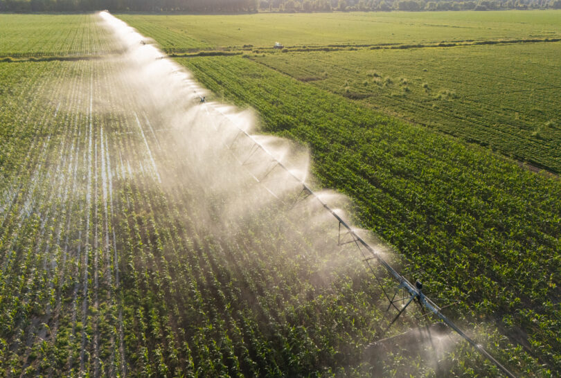 O setor agrícola vive “um momento absolutamente apaixonante de mudança de ciclo”