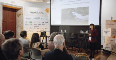 O futuro da vinha está nas castas que quase esquecemos