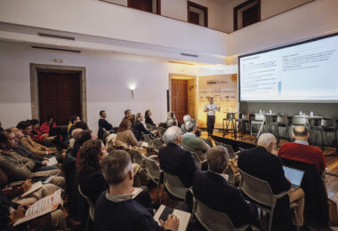 Doenças e pragas: como foi o ano vitícola?