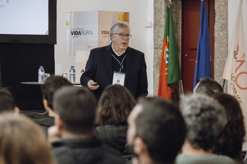 Rega: quando a resposta nasce no solo