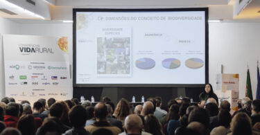 Sem biodiversidade não há resiliência