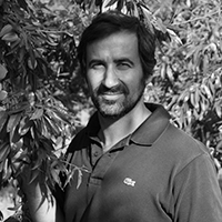 Conferências Frutos Secos