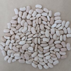 Feijao AgrariadeCoimbra