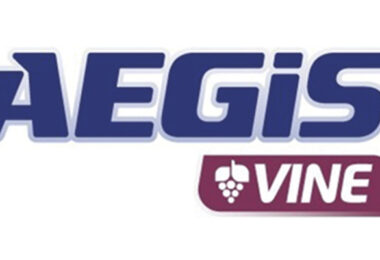 MV1, a micorriza que melhora a qualidade do vinho e os seus benefícios para a saúde humana