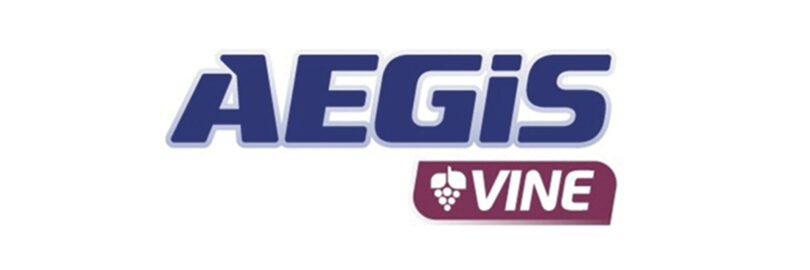 MV1, a micorriza que melhora a qualidade do vinho e os seus benefícios para a saúde humana