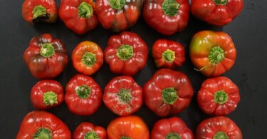 Agrária de Coimbra duas novas variedades de sementes próprias