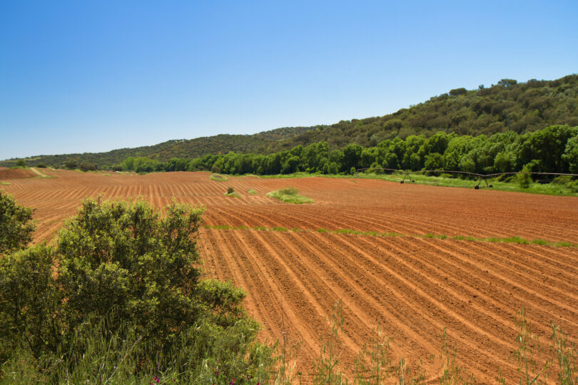 Portugal entre os países com terrenos agrícolas mais caros da UE