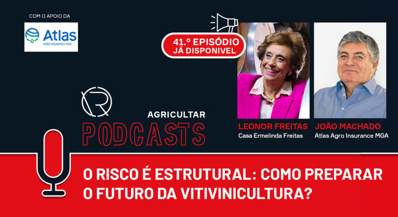 Como preparar o futuro da vitivinicultura?