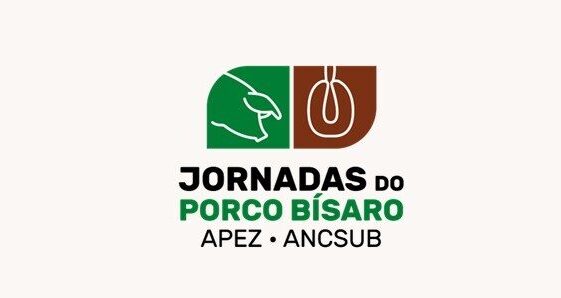 Jornadas do Porco Bísaro vão debater o futuro da suinicultura