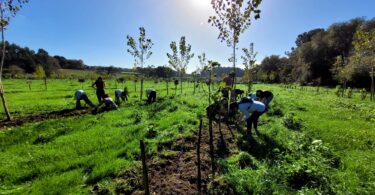 Investigadores portugueses lideram projeto inovador para promover agricultura resiliente