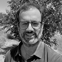 Conferências Frutos Secos