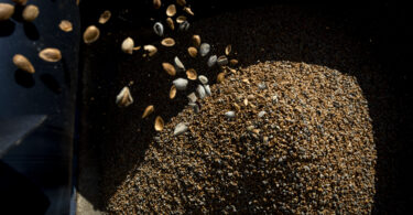 A amêndoa cresce, mas a consolidação está longe