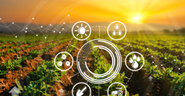 Evolução regulatória dá novo impulso às culturas geneticamente modificadas