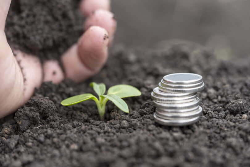 Governo pagou 118,1 milhões de euros a mais de 44 mil agricultores
