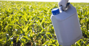 Mercado global de agroquímicos deverá atingir 375,5 mil milhões de dólares até 2033