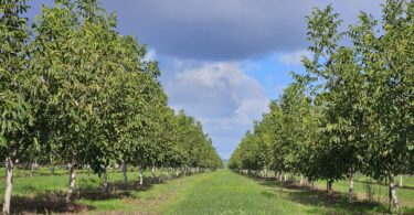 PHOTO 2025 12 17 14 53 26