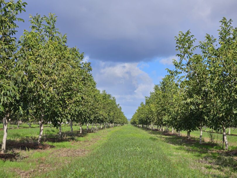 PHOTO 2025 12 17 14 53 26