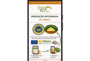 Rastreabilidade do arroz com blockchain: resultados do projeto TRACE-RICE