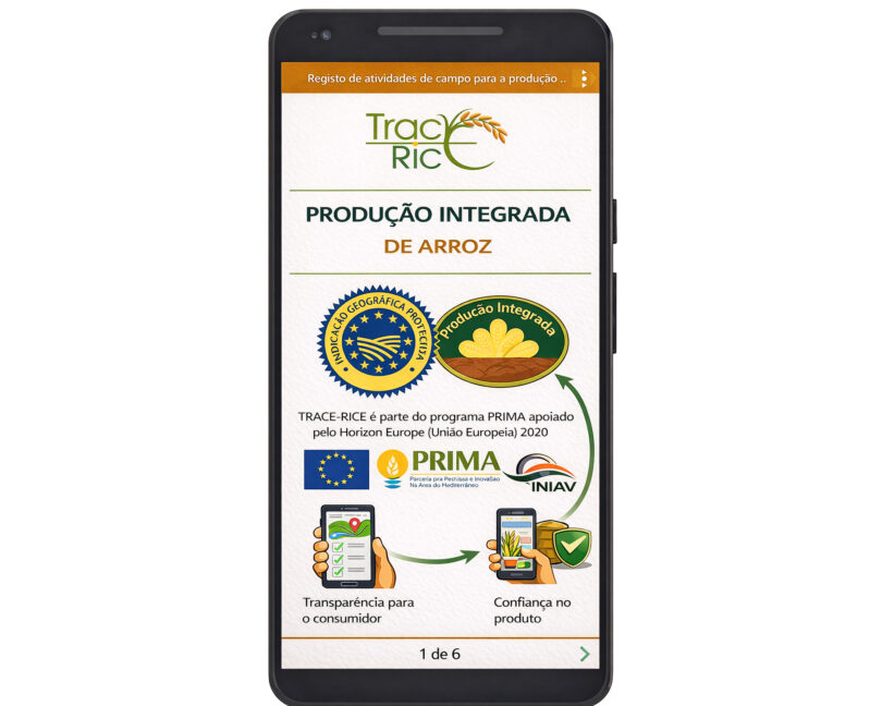 Rastreabilidade do arroz com blockchain: resultados do projeto TRACE-RICE