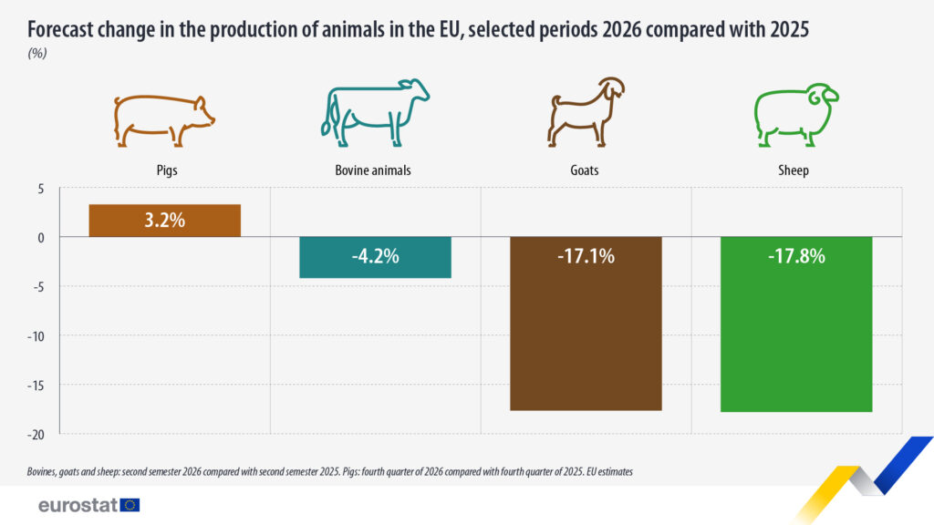 forecast change production animals 2026 2025