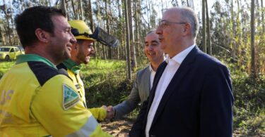 Proprietários florestais afetados pela depressão Kristin recebem 40 milhões de euros em apoios