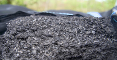 Biocarvão pode mitigar acidificação dos solos e melhorar produtividade agrícola, conclui estudo