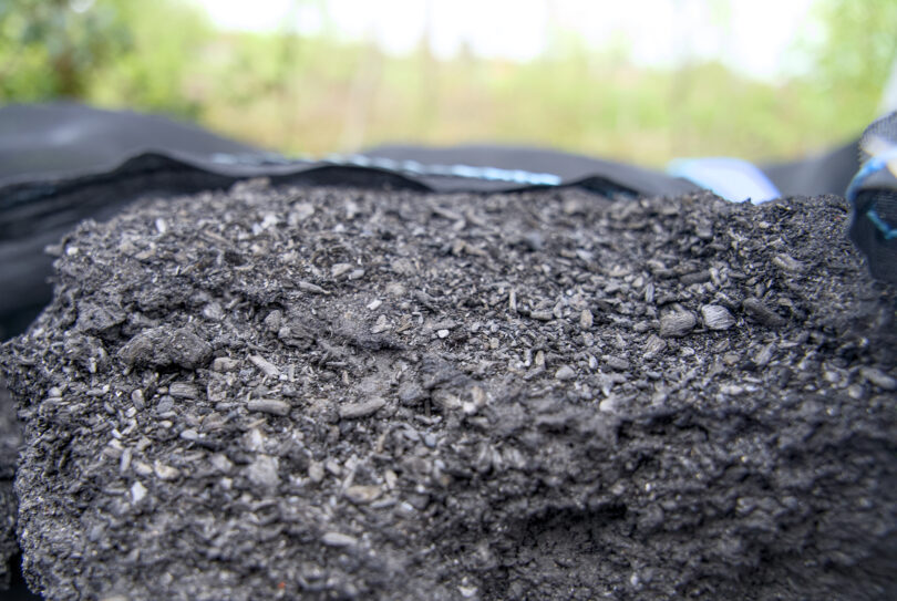 Biocarvão pode mitigar acidificação dos solos e melhorar produtividade agrícola, conclui estudo