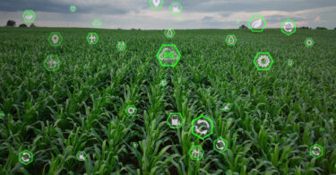 Bruxelas lança plataforma de IA para combater fraudes e surtos alimentares na UE