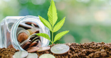 CAP critica congelamento e prorrogações nas candidaturas ao investimento agrícola