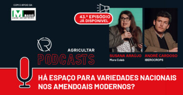 Há espaço para variedades nacionais nos amendoais modernos?