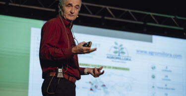 A transformação silenciosa do amendoal