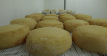 Tecnologia e tradição: IA entra no processo de cura do Queijo Serpa DOP