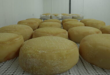Tecnologia e tradição: IA entra no processo de cura do Queijo Serpa DOP