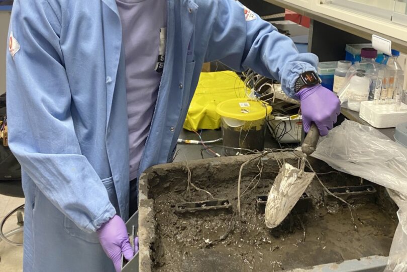 Microrganismos do solo podem alimentar sensores na agricultura de precisão