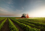 China cria consórcio para desenvolver biopesticidas e reforçar sustentabilidade agrícola