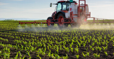 Falhas no comércio de fertilizantes podem reduzir produção alimentar até 15% em 2027