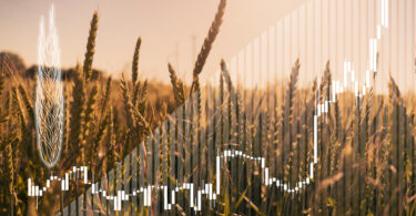 FAO alerta para risco de subida dos preços alimentares devido a bloqueios no Estreito de Ormuz