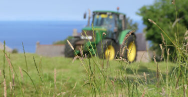 Açores intensificam combate a roedores com apoio direto aos agricultores