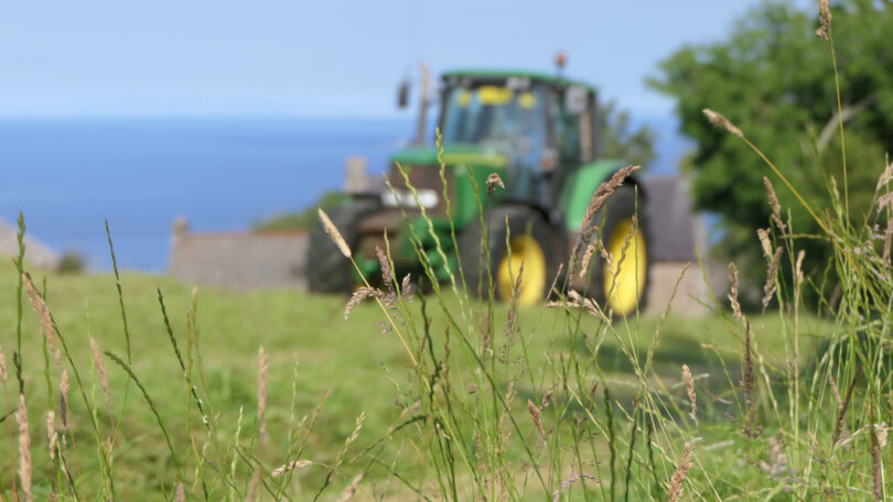 Açores intensificam combate a roedores com apoio direto aos agricultores