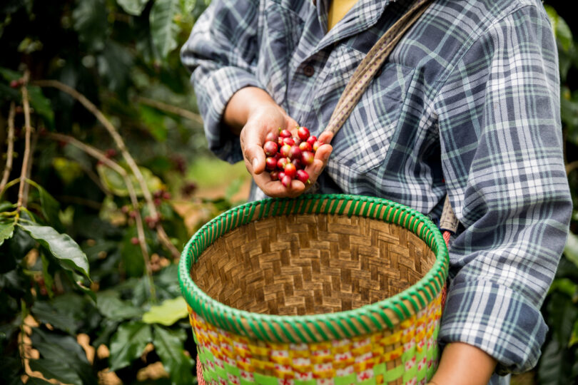A crescente exposição das Filipinas a fenómenos climáticos extremos está a impulsionar a adoção de práticas agrícolas mais resilientes, baseadas na diversificação de culturas, agroecologia e soluções adaptadas às condições locais.