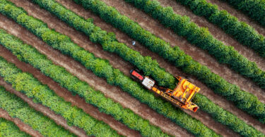Mecanização e tecnologia reforçam continuidade da agricultura familiar no Brasil