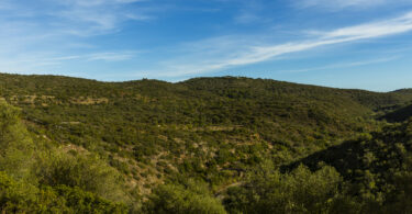 Algarve reforça investimento no combate a incêndios rurais com mais de 1 milhão de euros