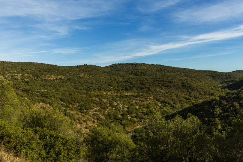 Algarve reforça investimento no combate a incêndios rurais com mais de 1 milhão de euros