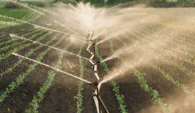 Da ETAR ao campo: Projeto português quer levar água reutilizada à agricultura