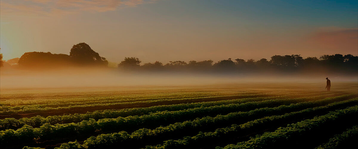 CBRE Agribusiness
