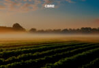 CBRE Agribusiness