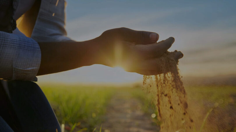 Quem são os investidores em agricultura?