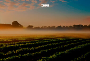 Porquê investir em agricultura?