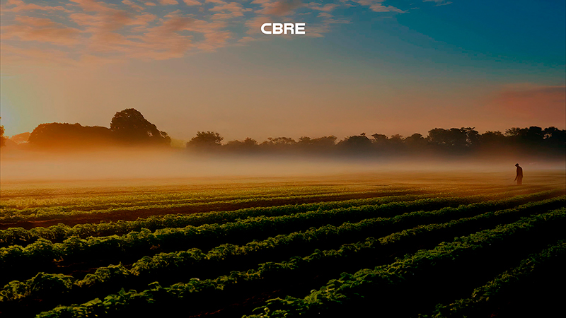 Porquê investir em agricultura?