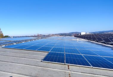 Sogrape quer operar com 100% de energia renovável nas operações ibéricas até 2027